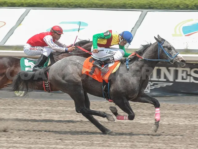 Mantienen suspensi&oacute;n de carreras de caballos