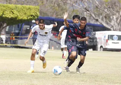 Huracanes hace estragos en el "nido" del Tec Huracanes hace estragos en el "nido" del Tec