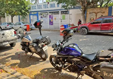 Enjambre de abejas ataca a alumnos de secundaria