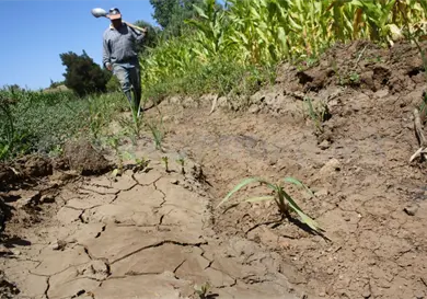 Contin&uacute;a investigaci&oacute;n de biofertilizantes
