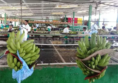 Preocupa reducci&oacute;n de jornada laboral