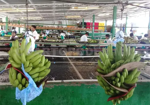 Preocupa reducci&oacute;n de jornada laboral