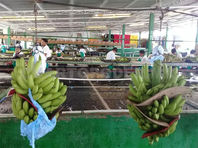 Preocupa reducción de jornada laboral Preocupa reducción de jornada laboral