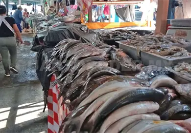 Afecta crisis econ&oacute;mica a familias en la Cuaresma