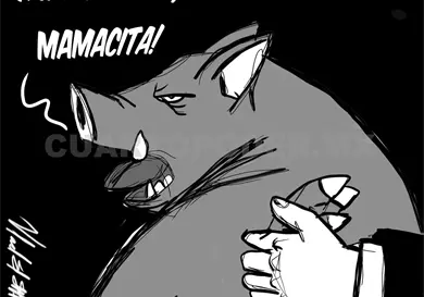 Acciones en favor de las mujeres