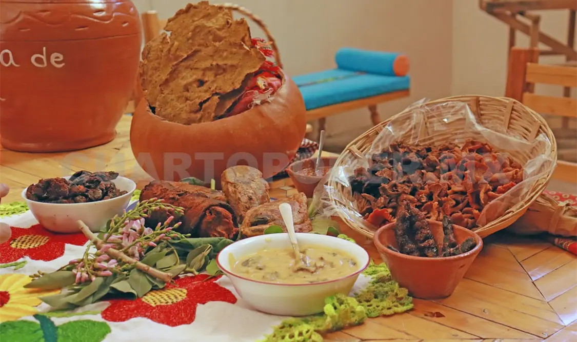 La idea es crear vínculos entre cocineras, empresarios, biólogos y personas de comunidades originarias. Samuel Meneses / CP