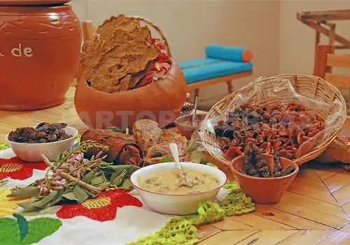 Anuncian festival biocultural de hongos