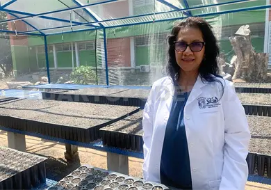 Sembrarán estudiantes 10 mil plantas Sembrarán estudiantes 10 mil plantas