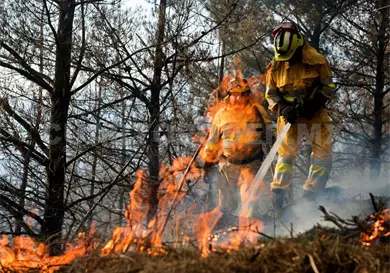 Van 50 incendios en la capital en 2026 Van 50 incendios en la capital en 2026