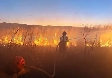 Persisten quemas urbanas e incendios forestales Persisten quemas urbanas e incendios forestales