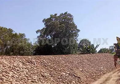 Autorizan 250 mdp para muro en el río Suchiate Autorizan 250 mdp para muro en el río Suchiate