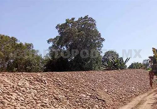Autorizan 250 mdp para muro en el r&iacute;o Suchiate