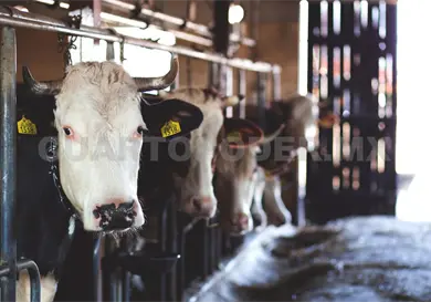 Avanzan acciones a favor del campo Avanzan acciones a favor del campo