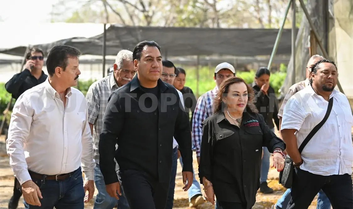 Se informó que Chiapas producirá más de un millón de plantas forestales. Cortesía