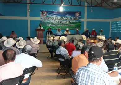 Eligen mesa directiva de ganadera "El Santuario" Eligen mesa directiva de ganadera "El Santuario"