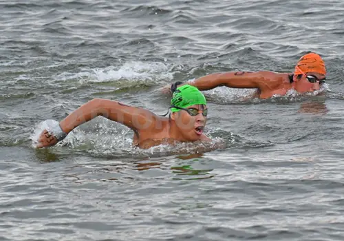 Delfines al Nacional de Aguas Abiertas