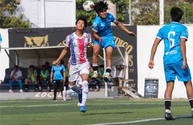 Deportivo Napoli asalta el Flor de Sosp&oacute;