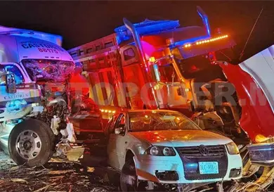 Caída de árbol provoca carambola en la Costera Caída de árbol provoca carambola en la Costera