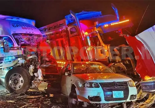 Caída de árbol provoca carambola en la Costera Caída de árbol provoca carambola en la Costera