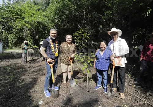 Impulsa Ángel Torres Arboleando Tuxtla Impulsa Ángel Torres Arboleando Tuxtla