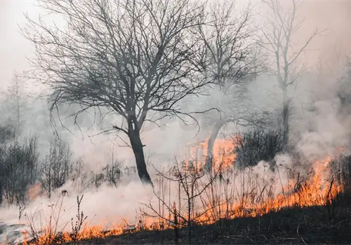 Chiapas se capacita para proteger ANP´s Chiapas se capacita para proteger ANP´s