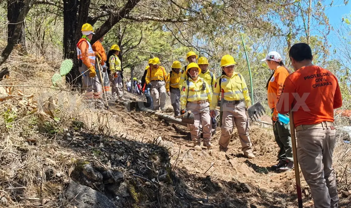 Más de 57 elementos realizaron la rehabilitación de brechas cortafuego a fin de reducir riesgos en zonas forestales. Manuel Martínez / CP