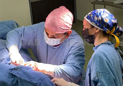 Realiza IMSS reconstrucciones mamarias en Tapachula Realiza IMSS reconstrucciones mamarias en Tapachula