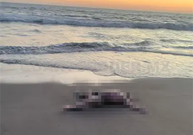 Localizan cuerpo sin vida en playa de El Gancho