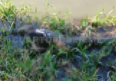 Localizan otro muerto en el r&iacute;o