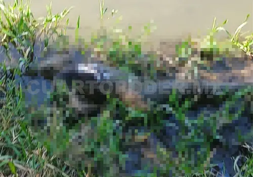 Localizan otro muerto en el río Localizan otro muerto en el río