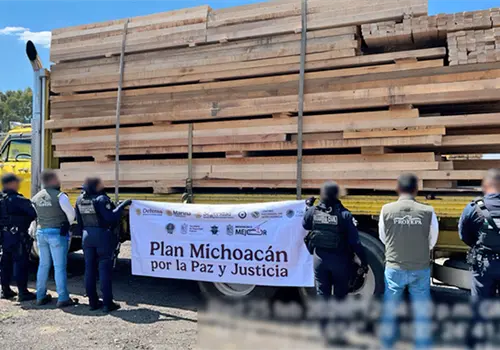 Detienen a 14 personas por tala ilegal en Michoacán Detienen a 14 personas por tala ilegal en Michoacán