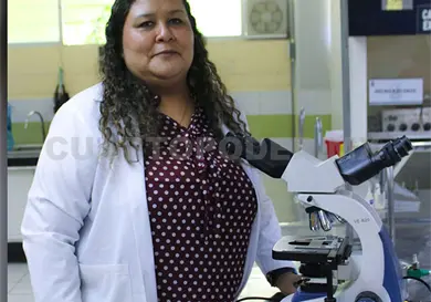 Estudian almidones para uso cosm&eacute;tico