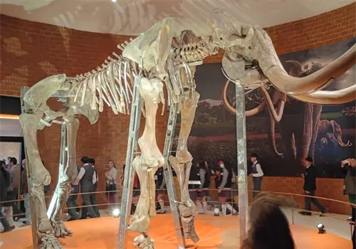 Abren Museo del Mamut Abren Museo del Mamut