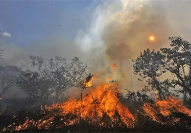 Aumentan hect&aacute;reas quemadas al 345 %
