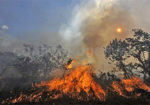 Aumentan hectáreas quemadas al 345 % Aumentan hectáreas quemadas al 345 %