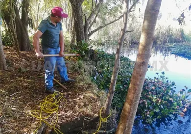 Realizan limpieza para proteger humedales