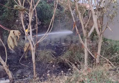 Aumentan incendios de pastizales en Tapachula