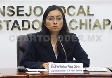 Relevos en el INE; asume encargada de despacho