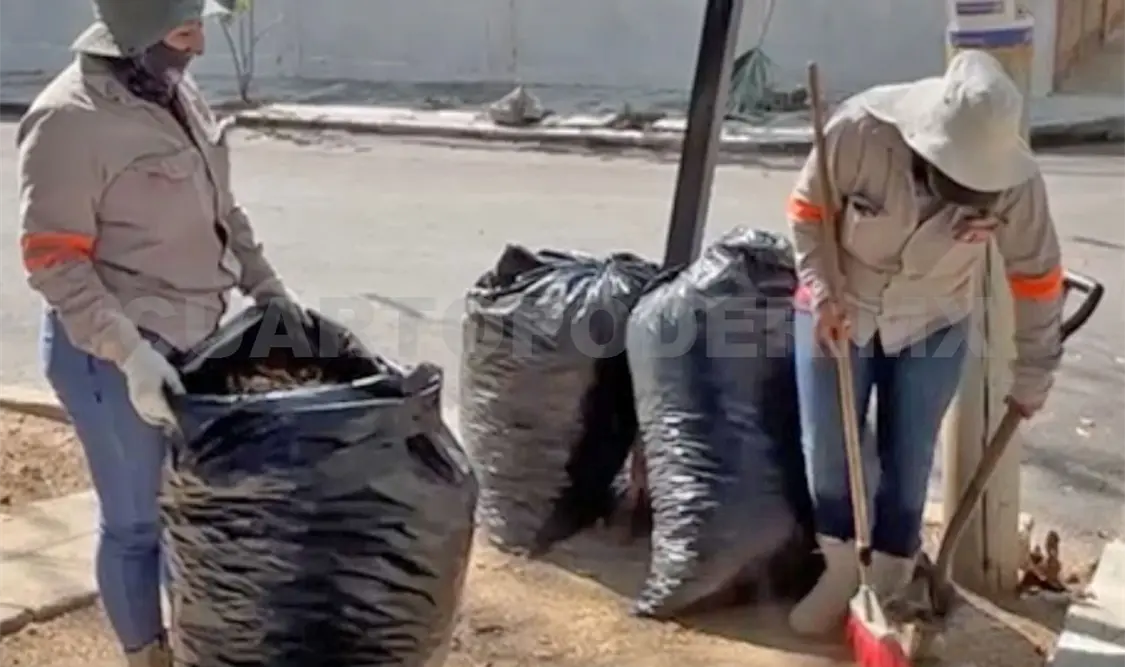 Una labor que resulta fundamental para la imagen urbana. CP