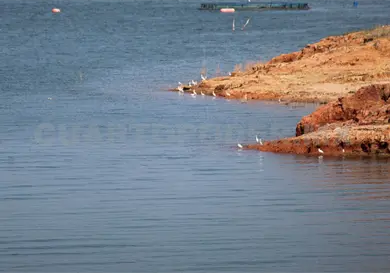 Privatizaci&oacute;n del agua permitir&aacute; trasvase de r&iacute;os hacia el norte