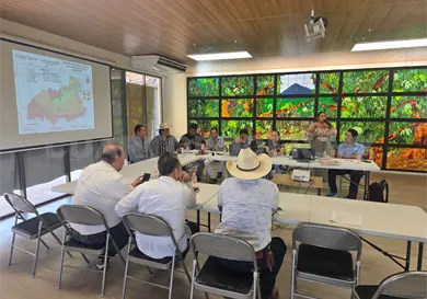 Cinco municipios en focos rojos por gusano barrenador