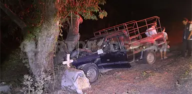 Se estampa pick up contra un &aacute;rbol