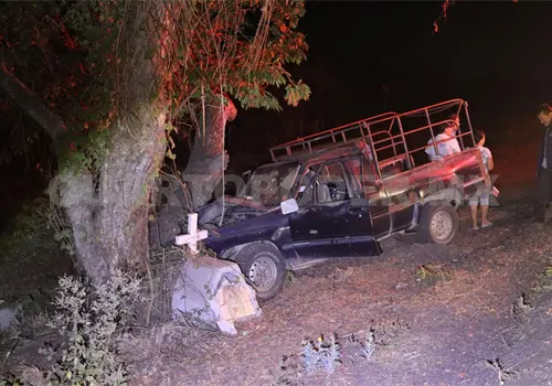 Se estampa pick up contra un &aacute;rbol