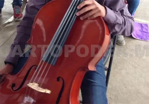 DIF formar&aacute; Orquesta de M&uacute;sica Popular