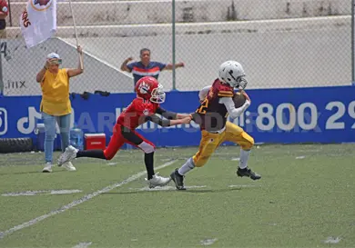 Calendario de la OEFA listo para la Temporada 2026