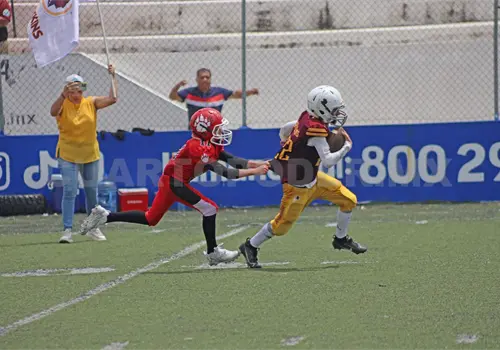 Calendario de la OEFA listo para la Temporada 2026