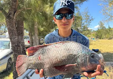 Realizan torneo de mojarra 2026