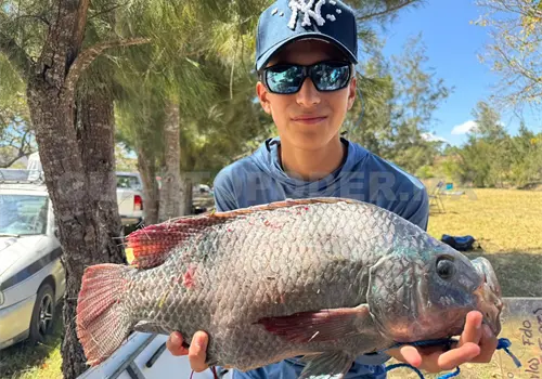 Realizan torneo de mojarra 2026