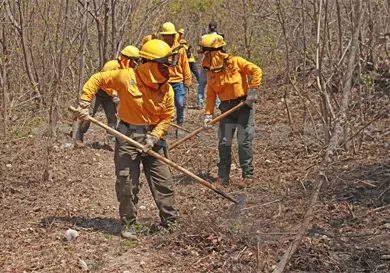 Cecilia, Flor y Mar&iacute;a, tres mujeres en l&iacute;nea de fuego