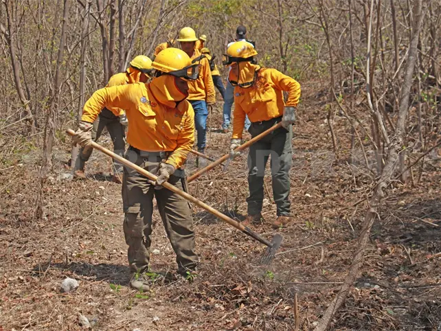 Cecilia, Flor y Mar&iacute;a, tres mujeres en l&iacute;nea de fuego
